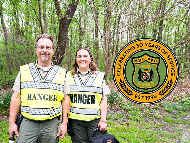 Park Rangers in the park
