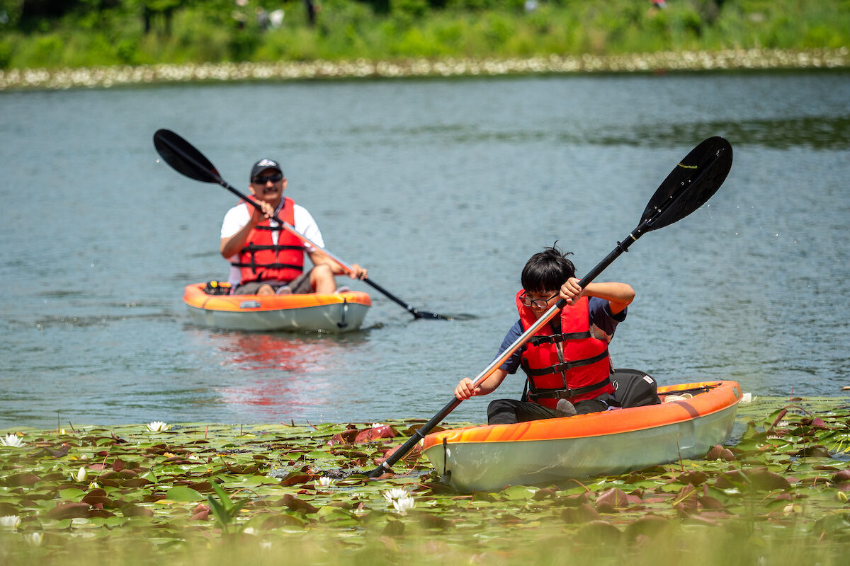 A man and his son paddle in a lake in individual orange kayaks with black paddles. They both wear red life vests. The boy has paddled into a thick patch of lily pads near the bank, while his father follows behind in the water.