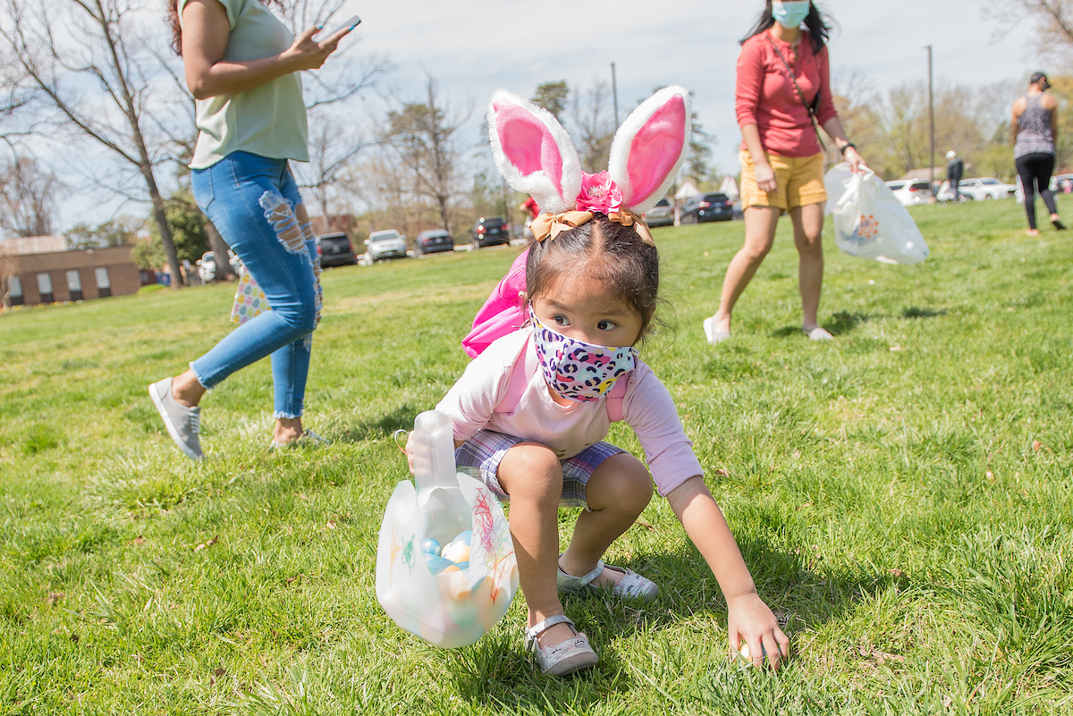 A small girl wearing bunny ears bends down to pick up a plastic egg from the grass. She carries a small container that is half full of plastic eggs. Behind her on the grass other kids and adults search for eggs.