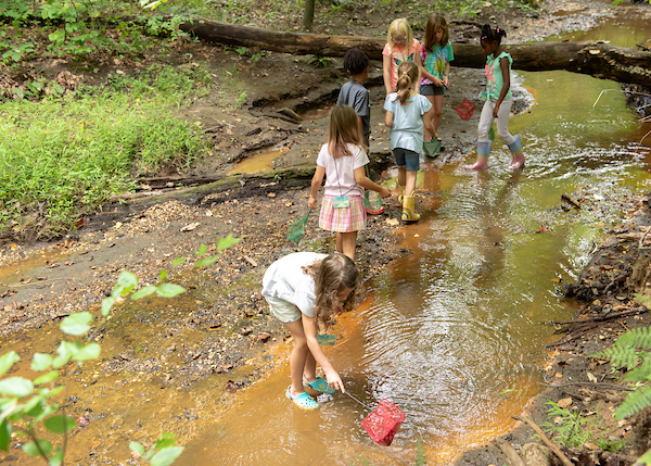 Kids walking in a creek