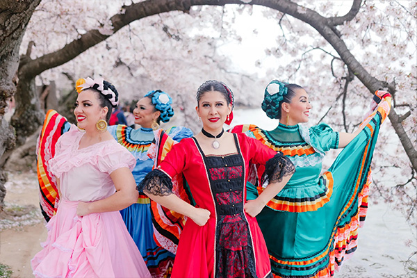 Four women wearing traditional Mexican dresses pose under a blooming cherry tree.