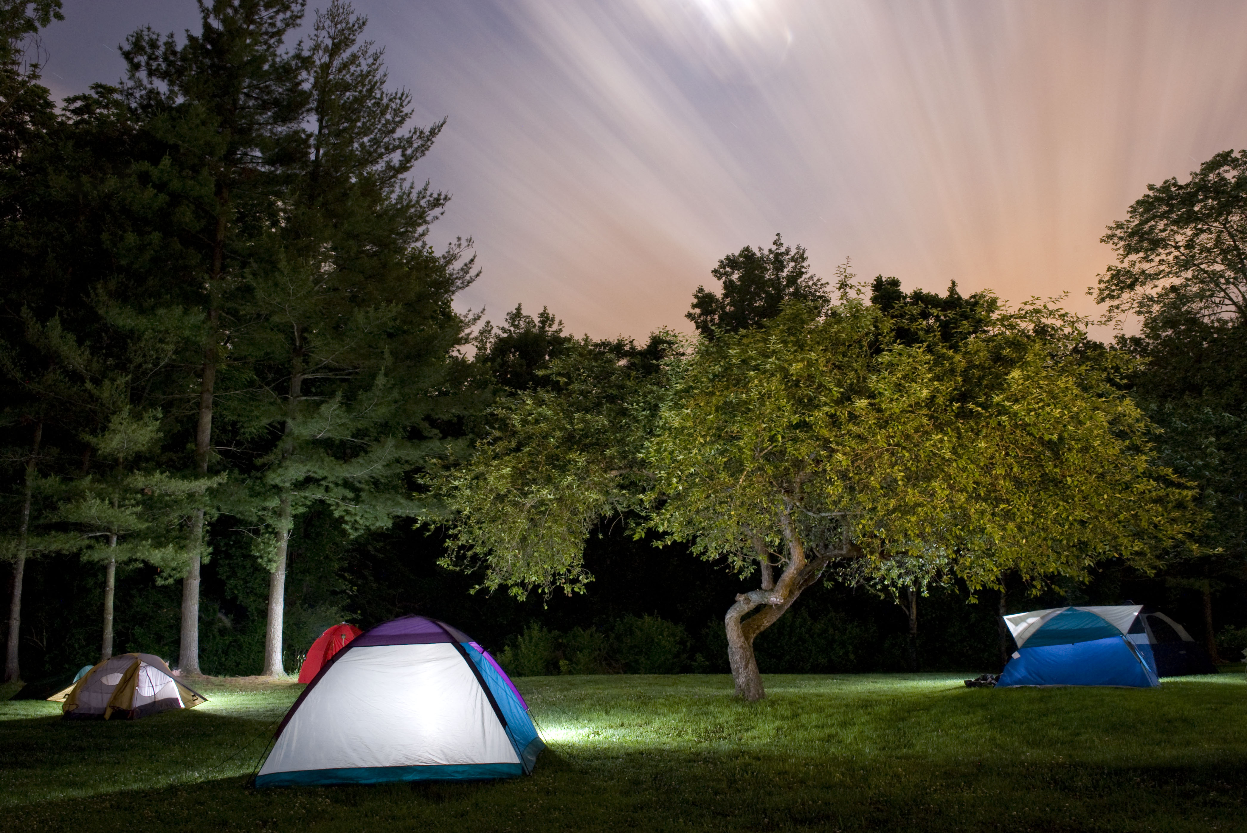 Camping tents on a grassy field at night beneath illuminated trees and a streaked, glowing sky.