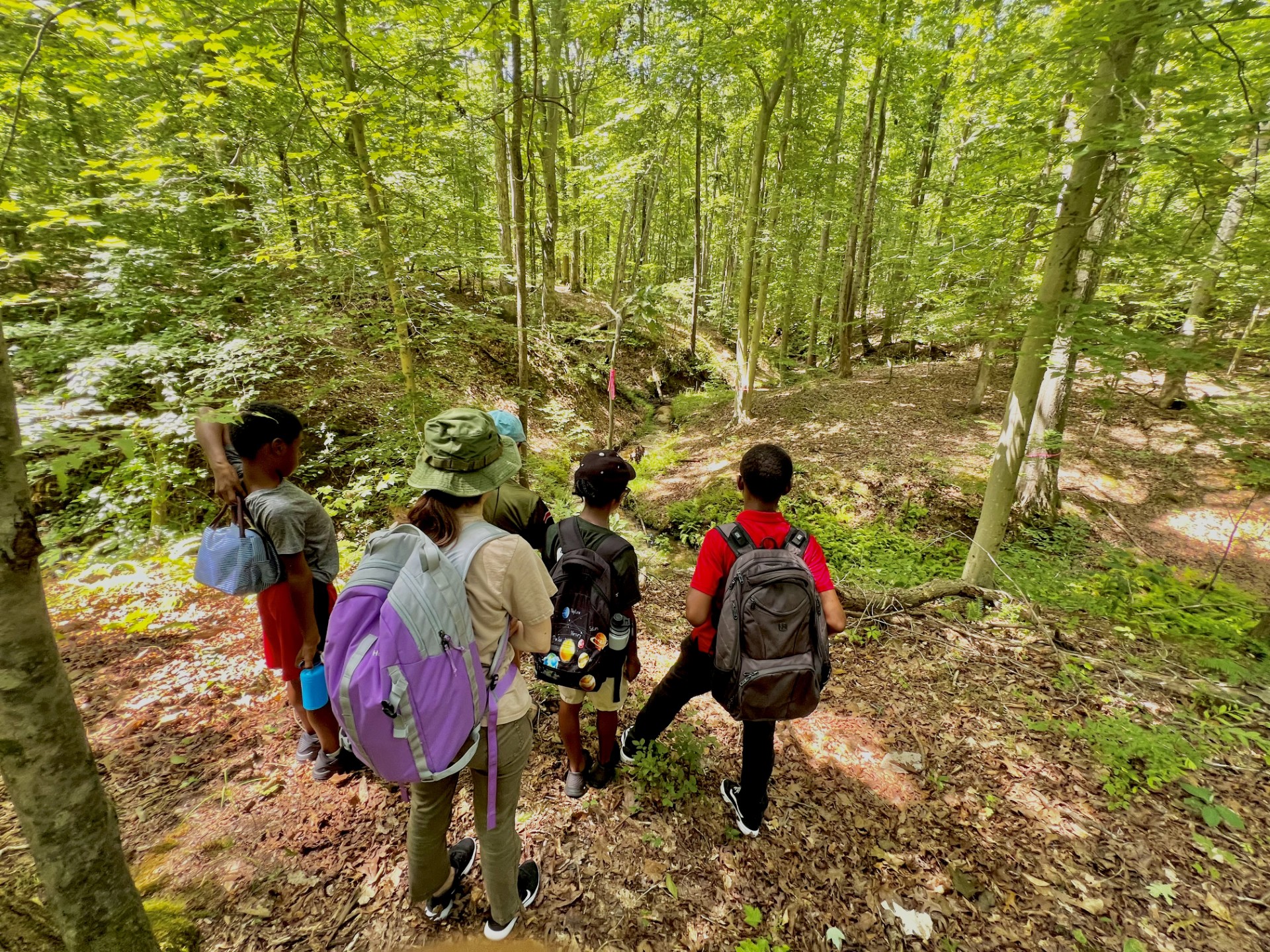A group of young people wearing backpacks stand in the woods facing a shallow ravine or creek bed.