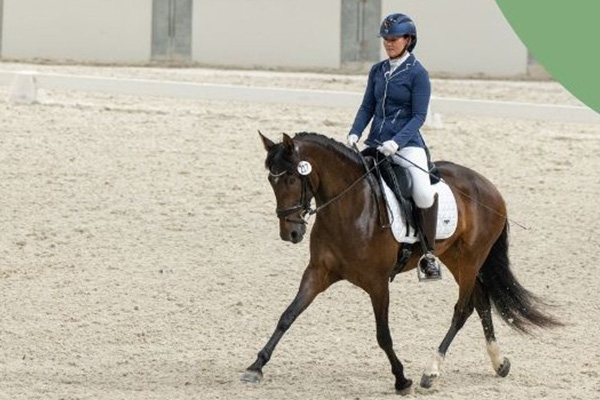 Potomac Valley Dressage Association Horse Show